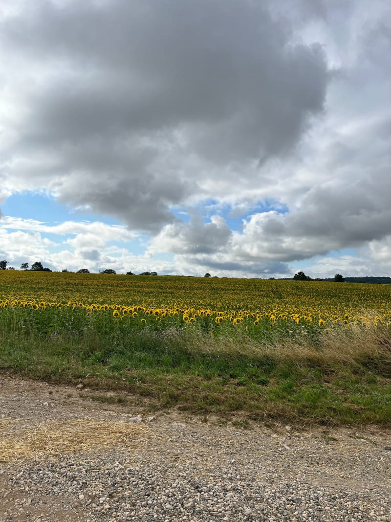 Boucle vers Celles-sur-Belle - Chauray
