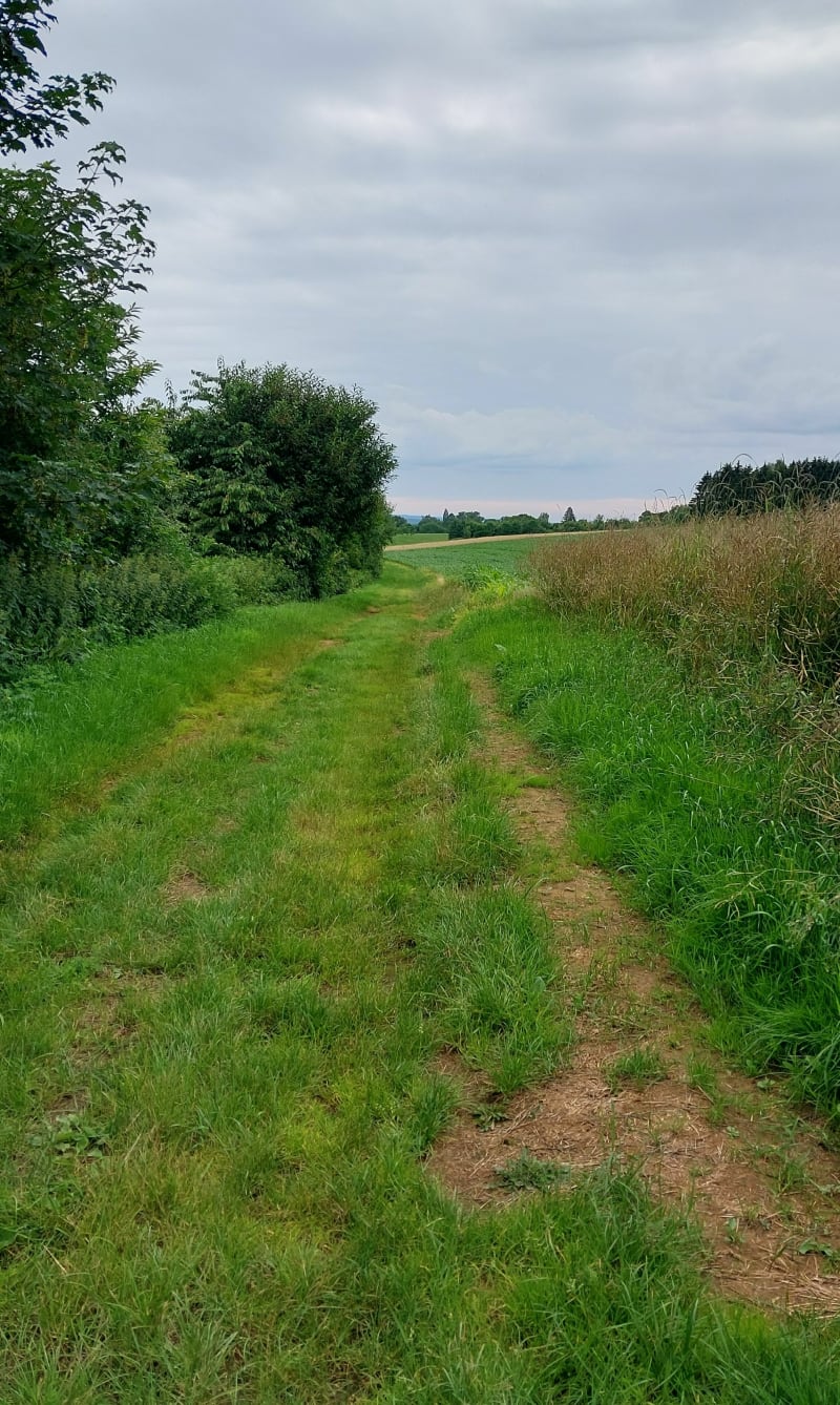 Chemin des maraîchers à Sedan - Sedan