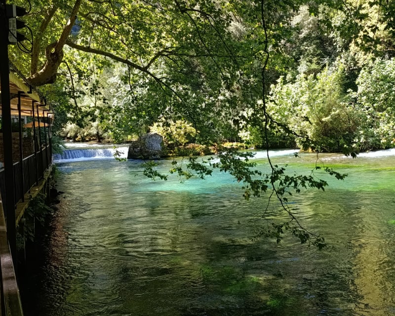 Forêt du Warndt - Guerting