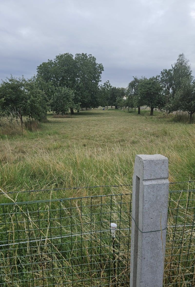 Le long de la Souchez - Harnes