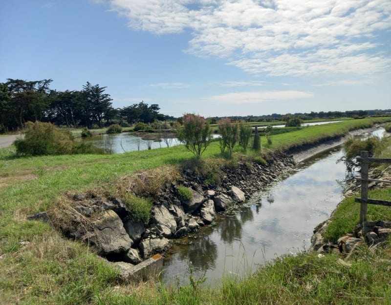 A travers champs et marais depuis Saint Mathurin ! - Saint-Mathurin