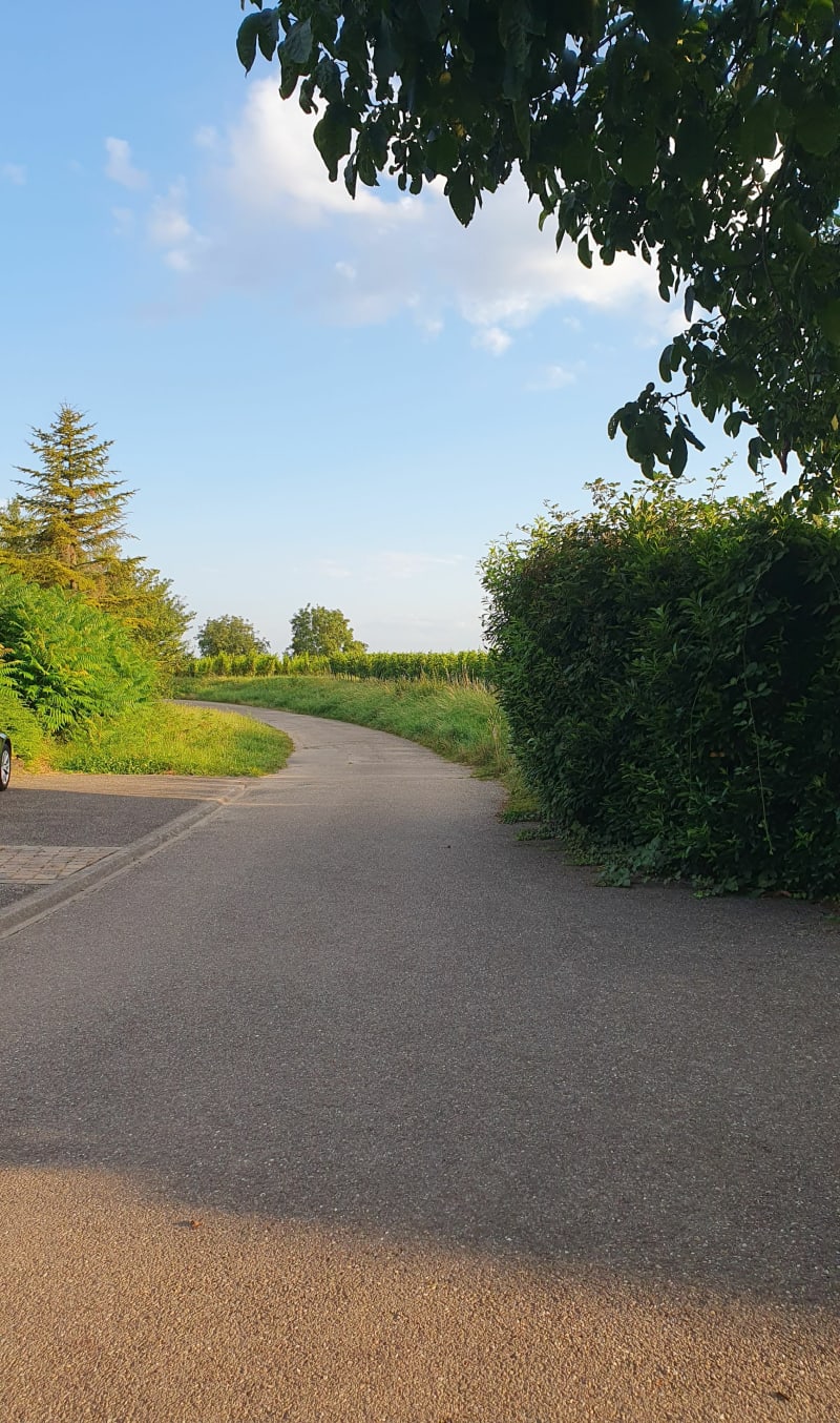 Balade entre les champs de Bourgheim - Bourgheim