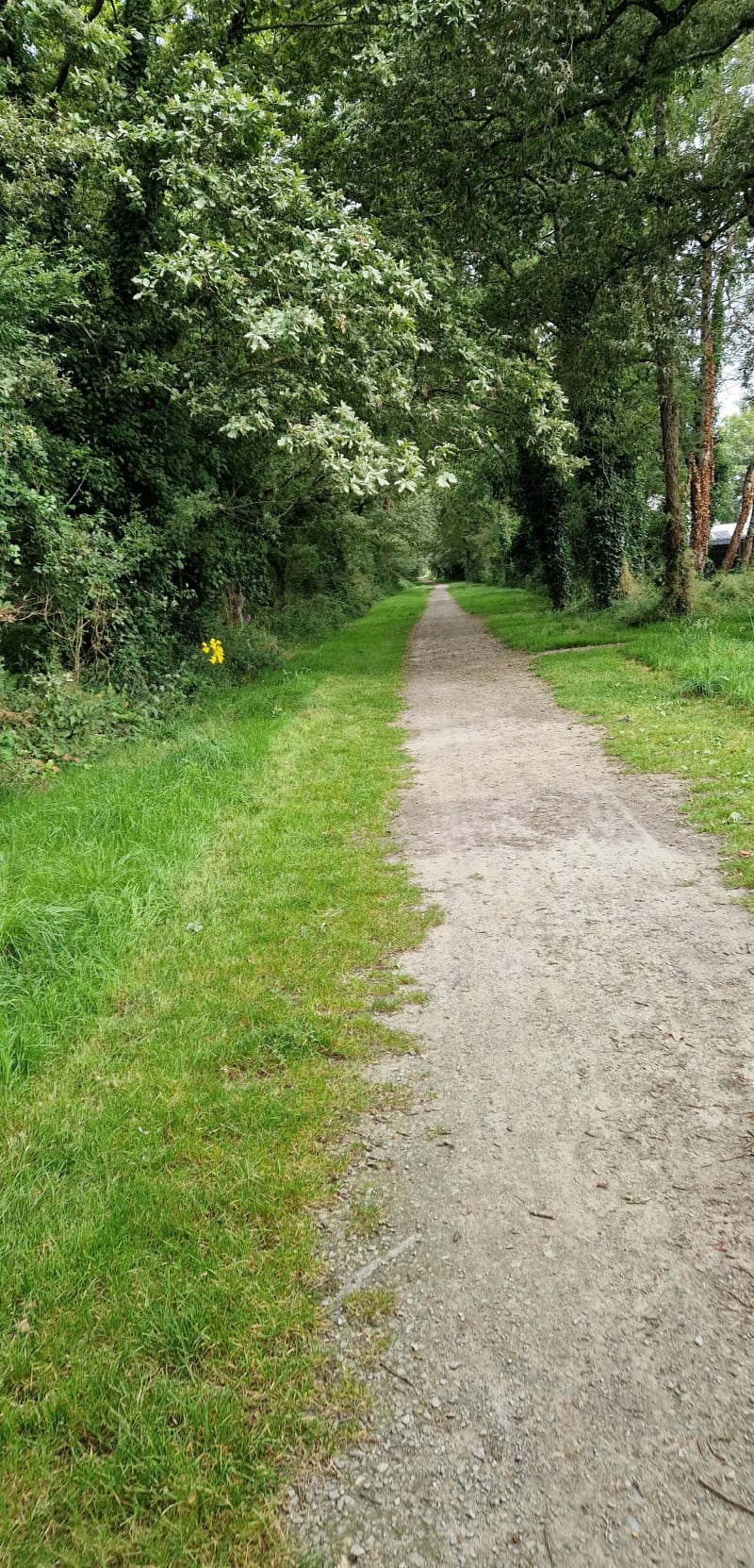 Voyettes Sucé-sur-Erdre - Sucé-sur-Erdre