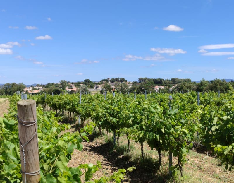 Découverte d'Alairac et ses alentours - Alairac