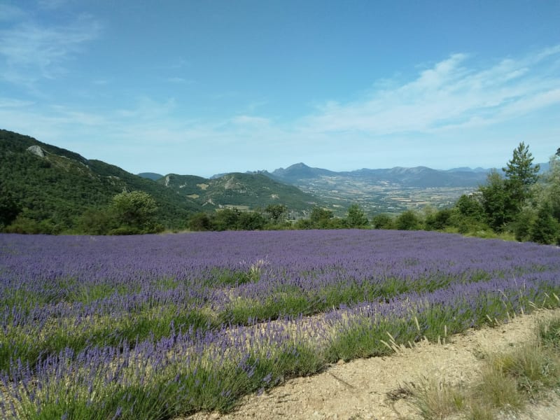 Les hauts de La Batie Verdun , par le col de la Roche Percée - Saint-Sauveur-Gouvernet