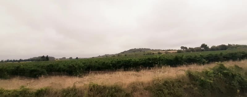 Boucle Maureilhan, Maraussan, Cazouls, Capestang. - Maureilhan