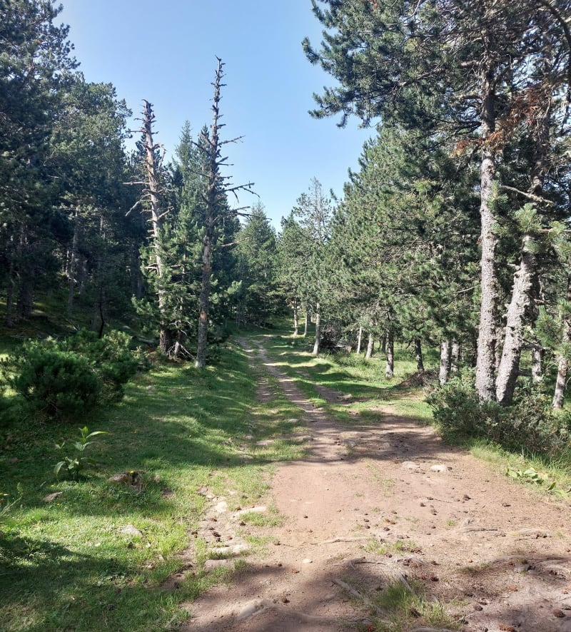Boucle du camping de la Deveze - Formiguères