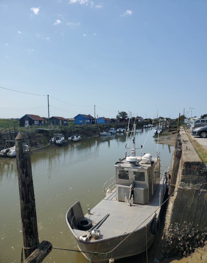 Dans les terres en Charente-Maritime - La Tremblade