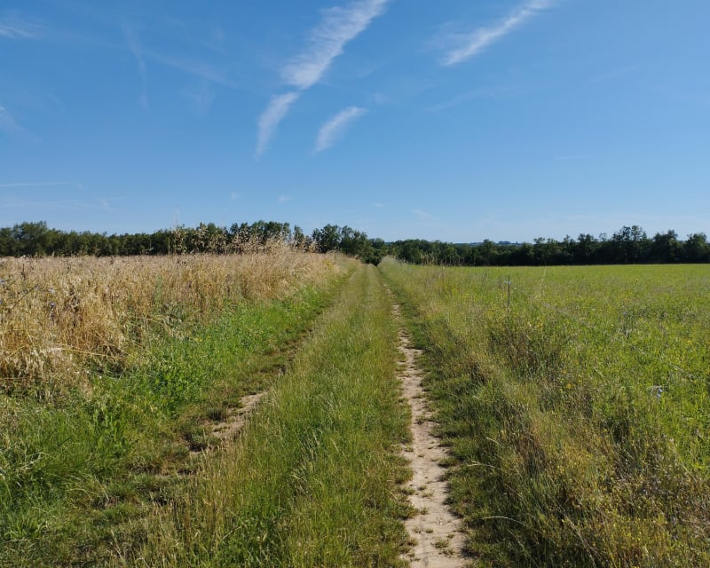 Le Val Cathare - Lombers
