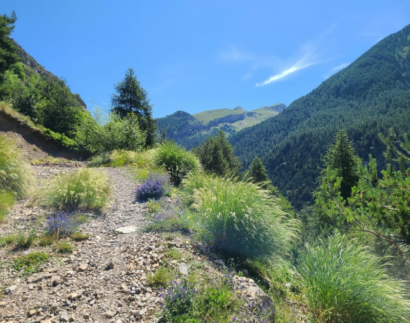 Tour du Cuchon à Ancelle - Ancelle