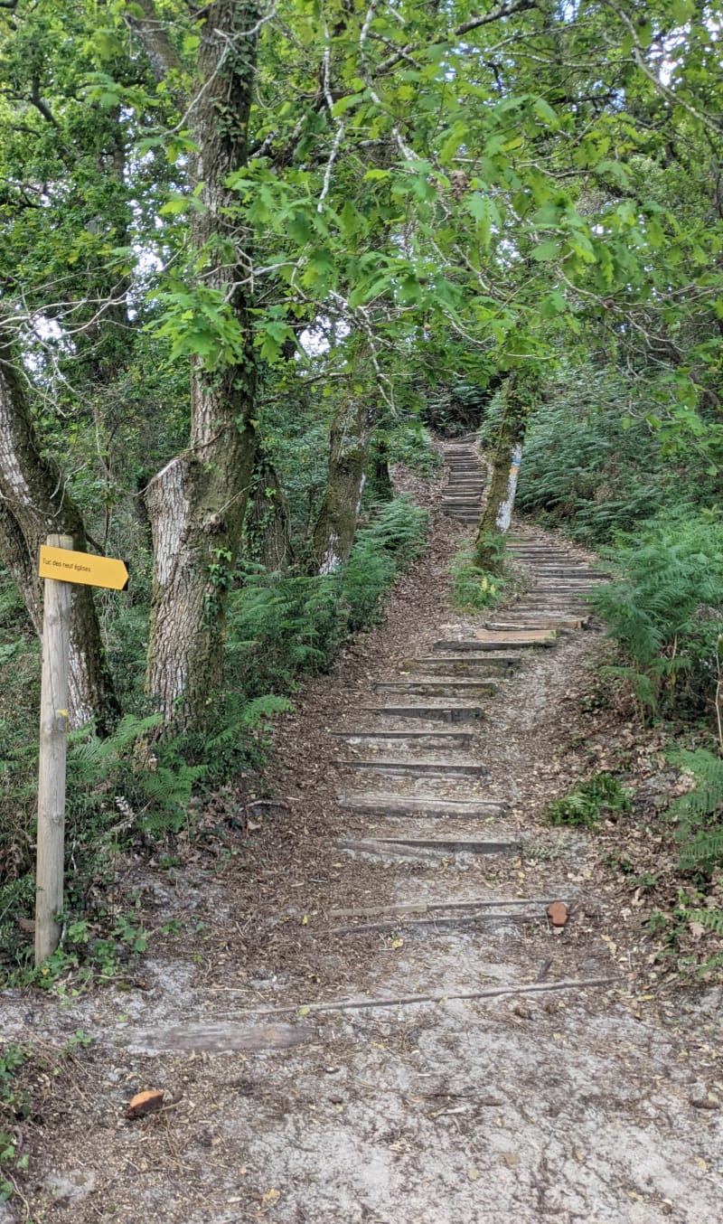 Rando de Labenne - Labenne