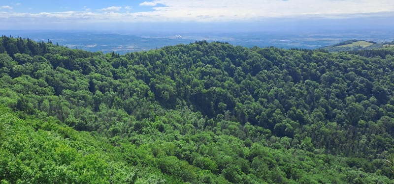 Autour de l'Albarine - Vaux-en-Bugey