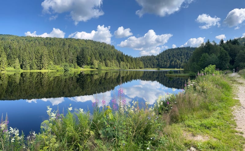 Les Champis et lac de Lispach - La Bresse