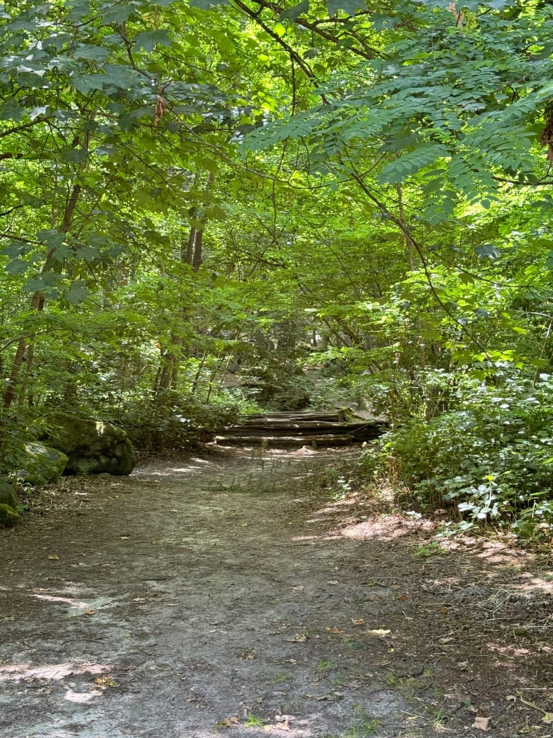 Balade Rocher Du Duc - Champcueil