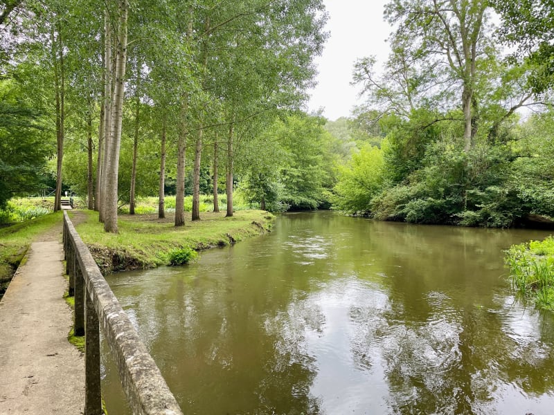D'Amilly à Conflans par les Nepruns - Amilly