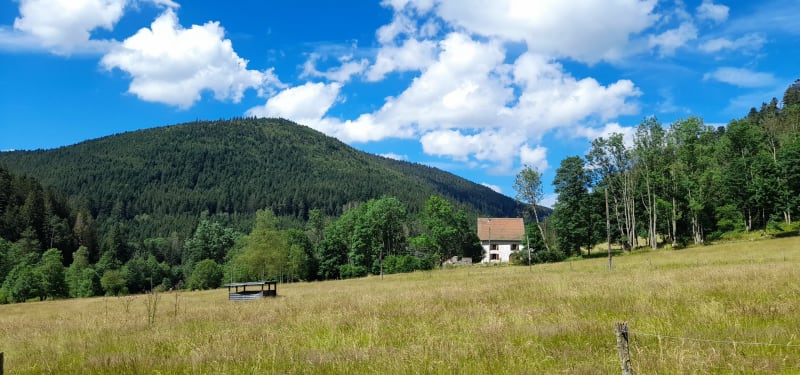 Balade autour du Louchpach - Plainfaing