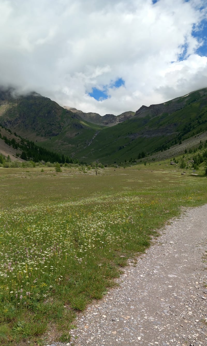 Vallon de Chambran - Sur les traces des bergers - Vallouise-Pelvoux