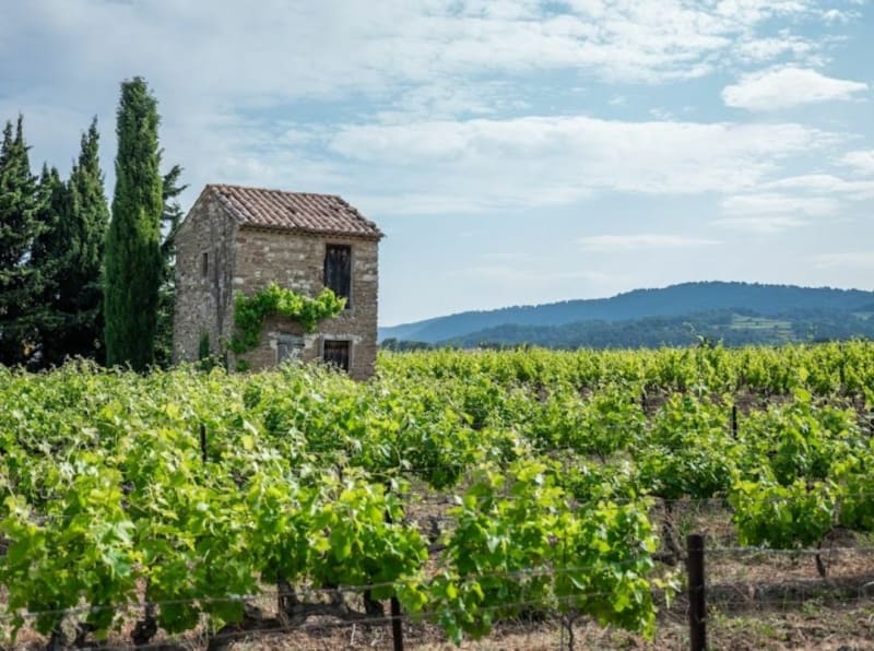 Tour du Plan de Dieu - Piolenc