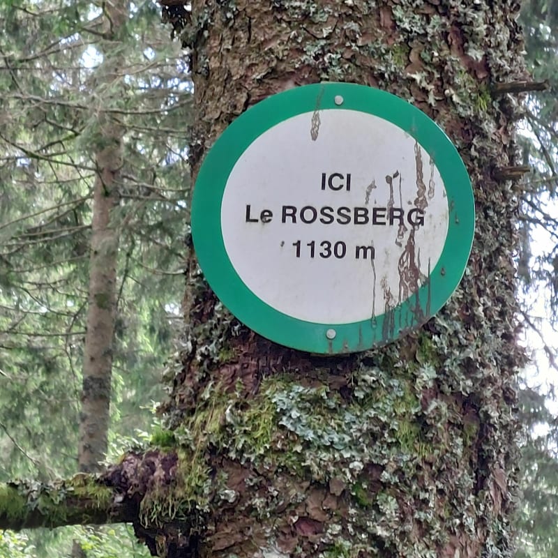 Balade autour du Rossberg - Plainfaing