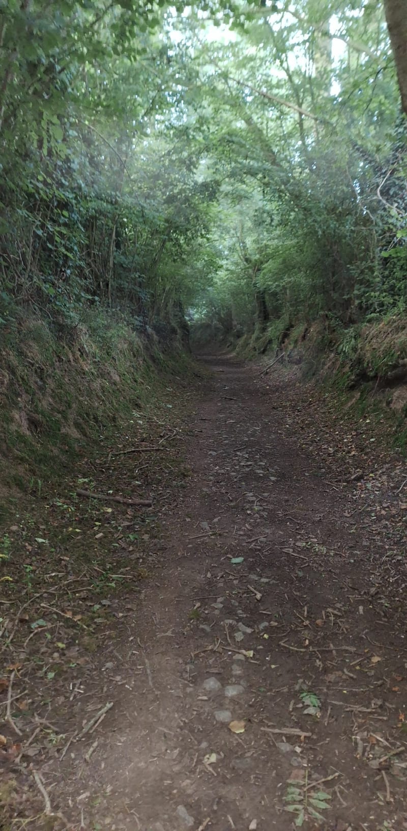 La grimpette de Roucamps - Les Monts d'Aunay