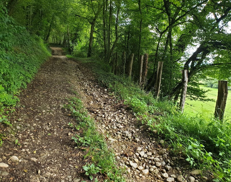 Le Tour des Châteaux du côté de St-Didier - Saint-Didier-de-la-Tour