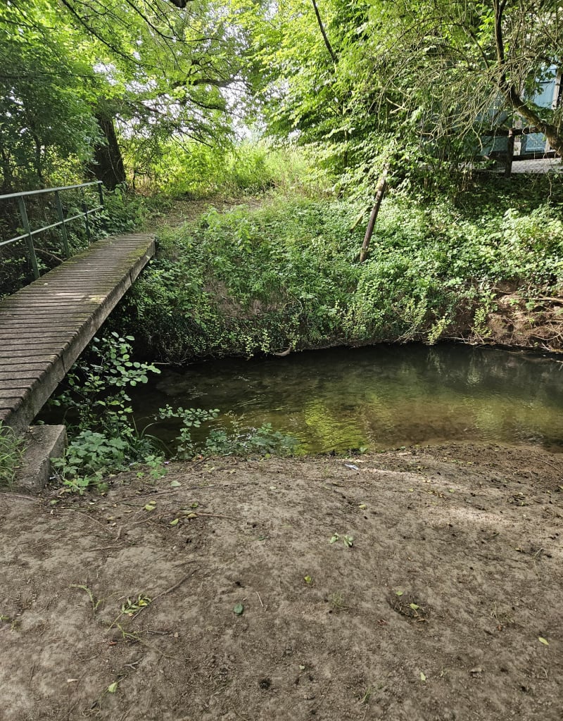 Marche aux alentours de Crèvecœur - Mézidon Vallée d'Auge