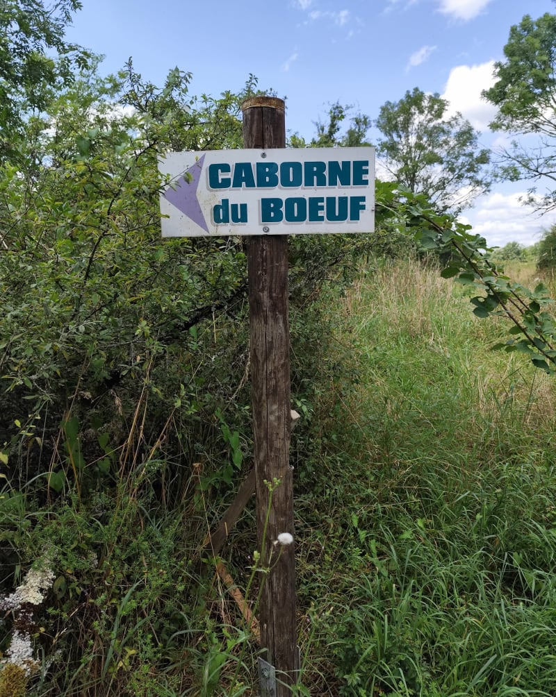 La Caborne du Boeuf - Saint-Hymetière-sur-Valouse