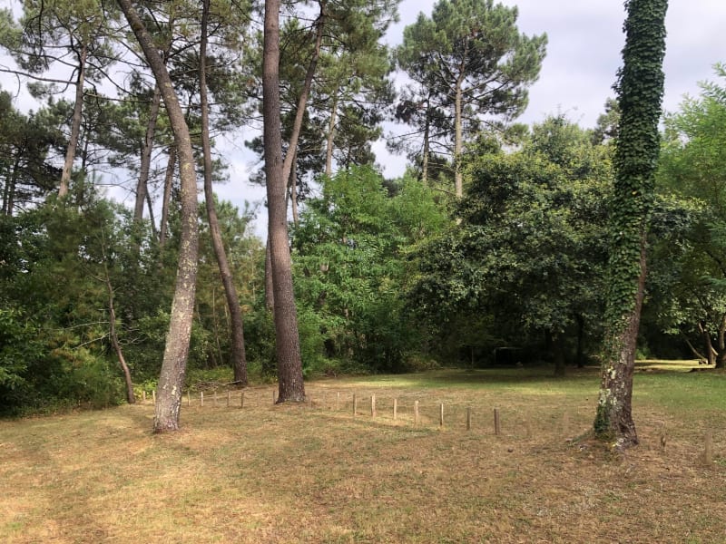 Forêt de Beaupouyer - Beaupouyet