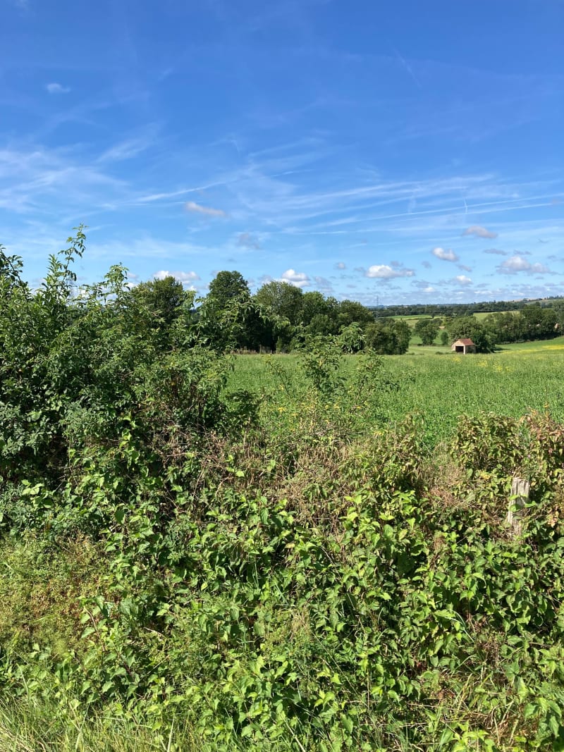Rignac Lanuejouls sur les hauteurs de l’Aveyron, Pachins… - Rignac