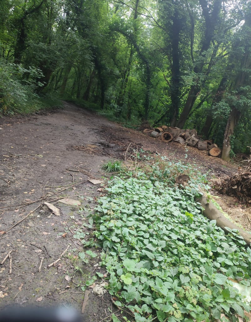 VTT départ de Charny - Charny