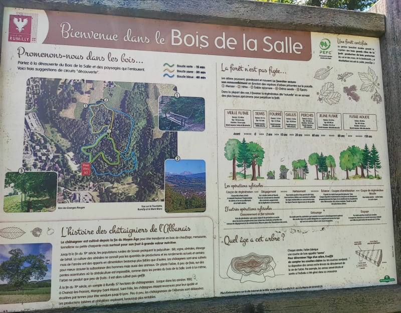 Bois de la Salle - Rumilly