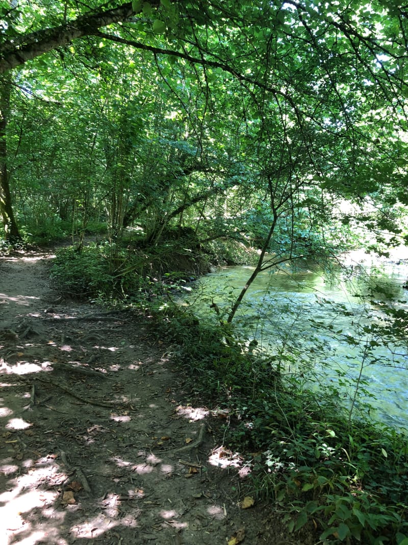 Balade au bord de la Versoix - Sauverny