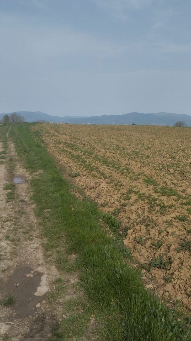 Sur les hauteurs de Brunstatt - Brunstatt-Didenheim