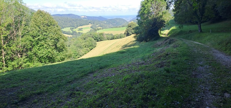 Reconnaissance rando des vauriens 35 km - Vaux-en-Bugey