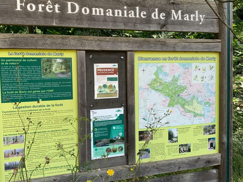 Balade VTT en forêt de Marly-le-Roi - Marly-le-Roi