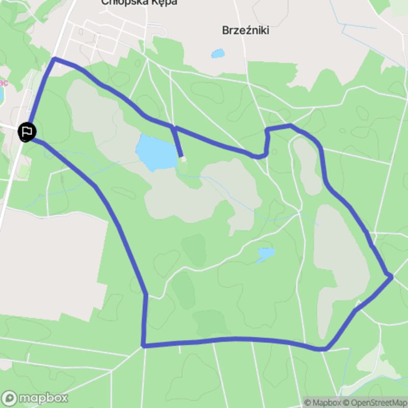 Ścieżka w Strzekęcinie - 8,1 km, poziom trudności średni - Strzekęcino
