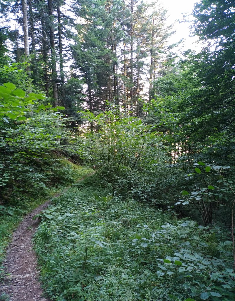 Verticale du Môle - La Tour