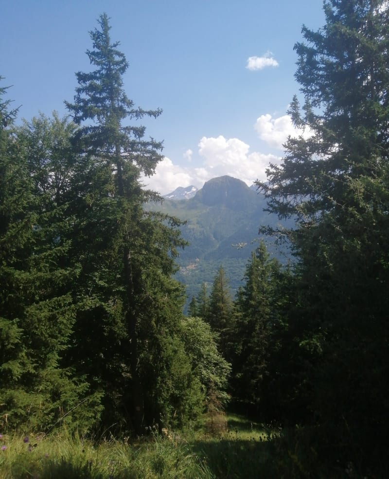 Col de Piégut et col de Maronnes - Auris
