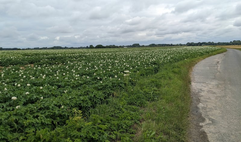 Guînes Andres chemin des têtards et le long du canal - Guines