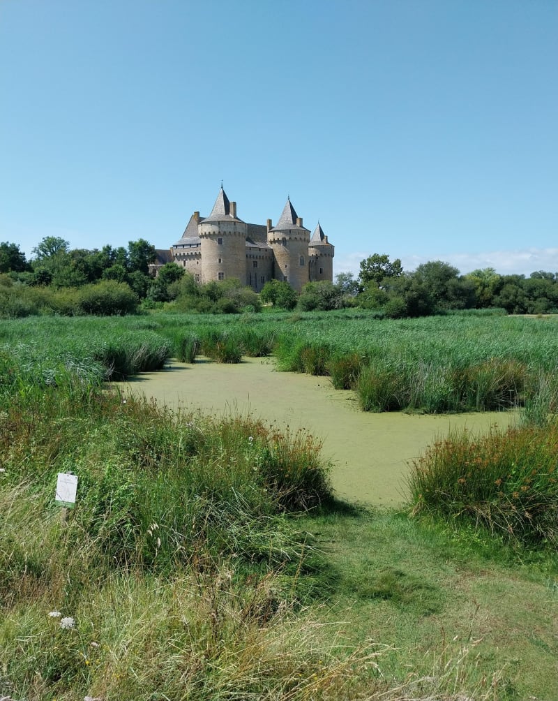 Boucle St Jacques/Suscinio/Sarzeau bourg/St Jacques - Sarzeau