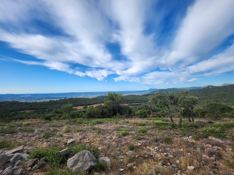 Sortie entre St-Jérôme et Palama - Marseille