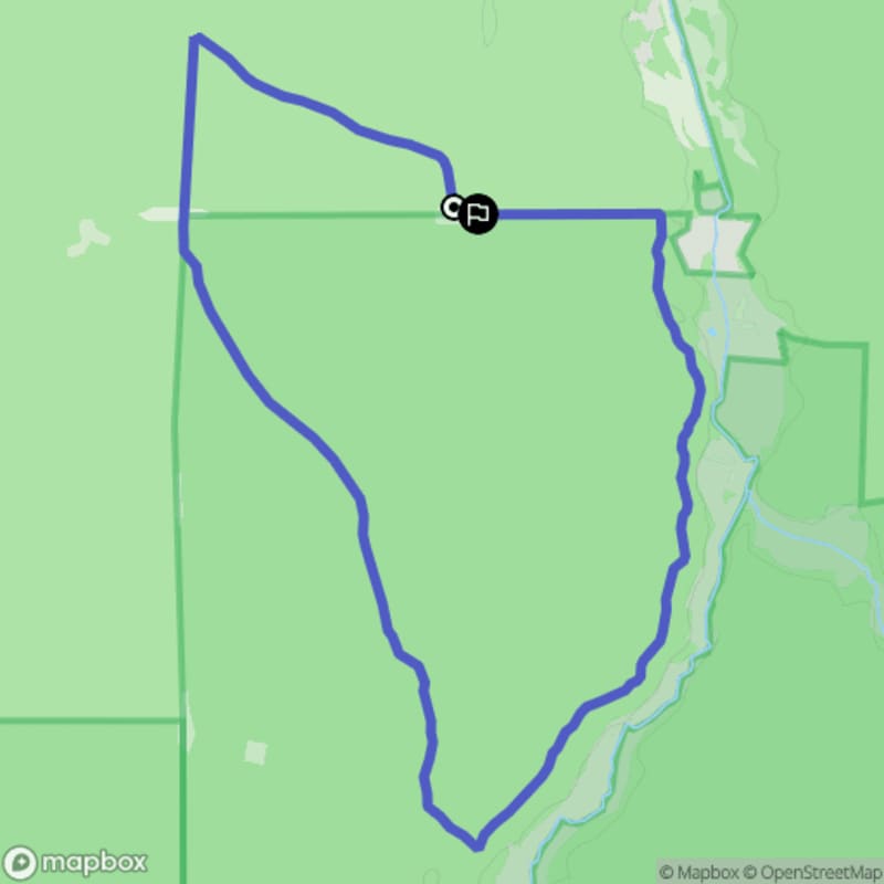 Ścieżka wzdłuż rzeki z poziomem trudności średnim - 8,8 km (Guszczewina) - Guszczewina