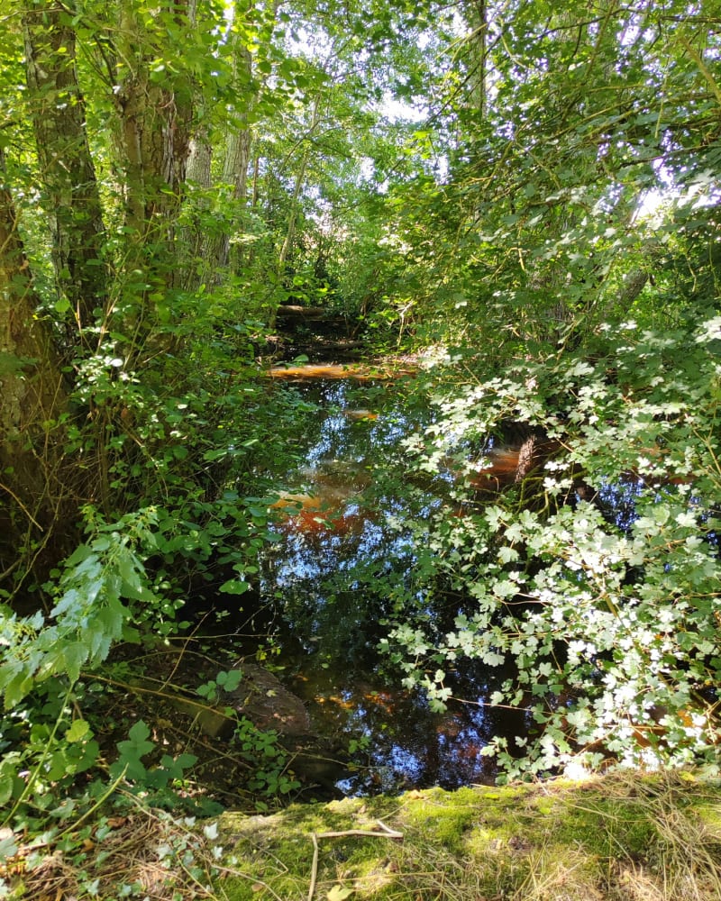 Le bordage et la Ferrière - La Ferriere