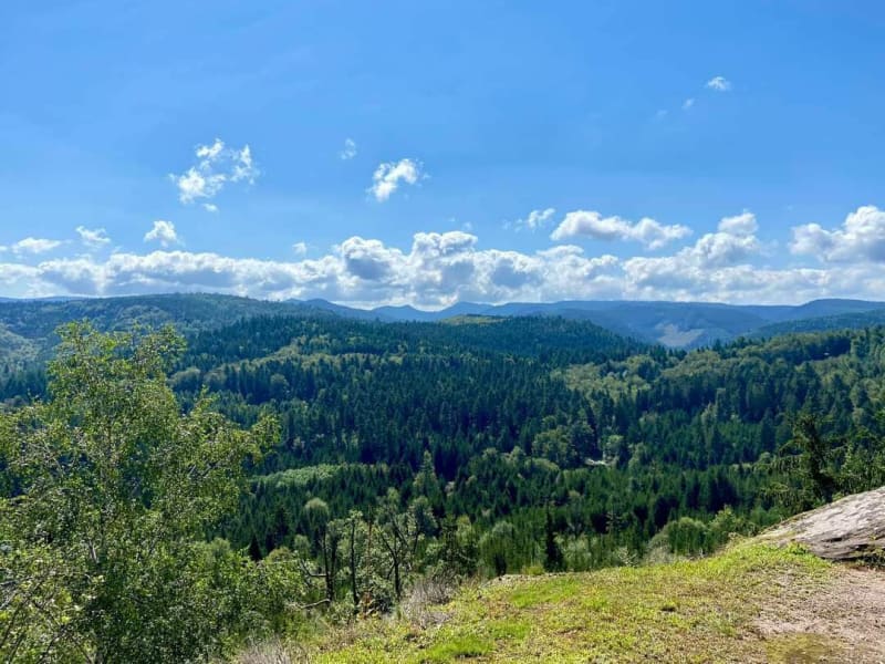 Randonnée Le Rocher du Lamperstein - Saint-Quirin
