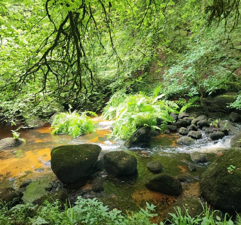 Gorgesde Toul Goulic - Lanrivain