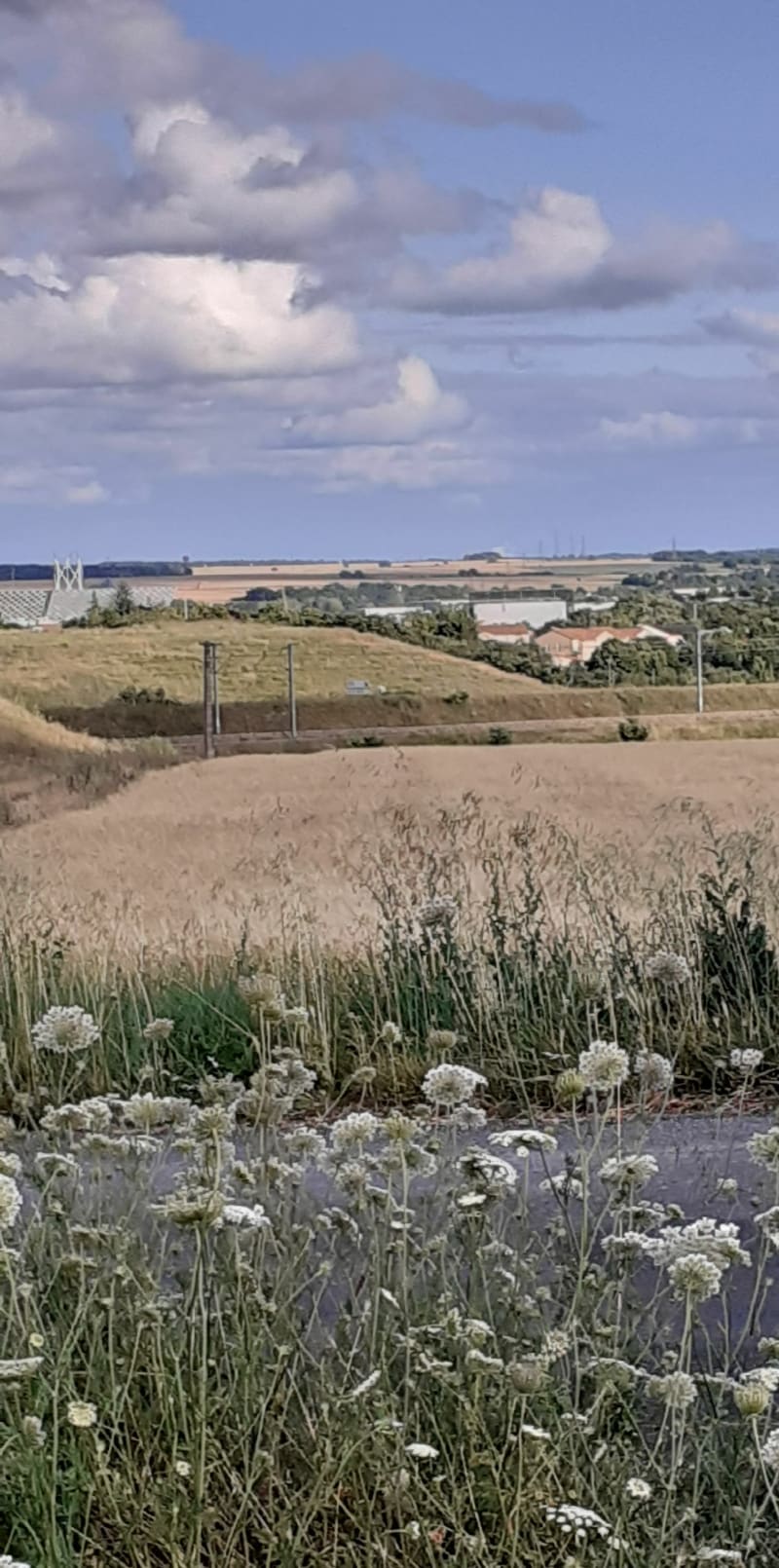 Entre Jaunay-clan, Avanton et Louneuil - Jaunay-Marigny