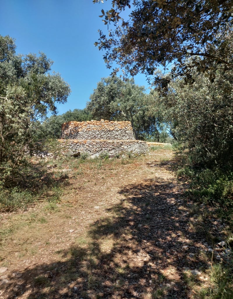 Haut de Nîmes - Nîmes