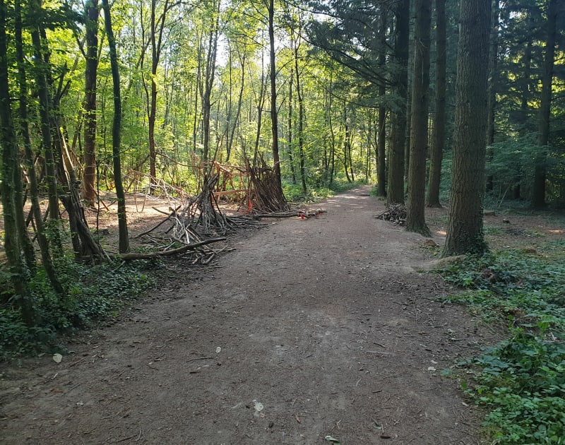 Forêt de Vallins à VTC - Torchefelon