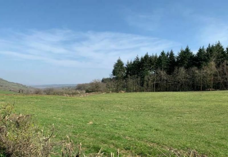 Boucle depuis Chatenoy jusquà Villeneuve-en-Montagne - Châtenoy-le-Royal