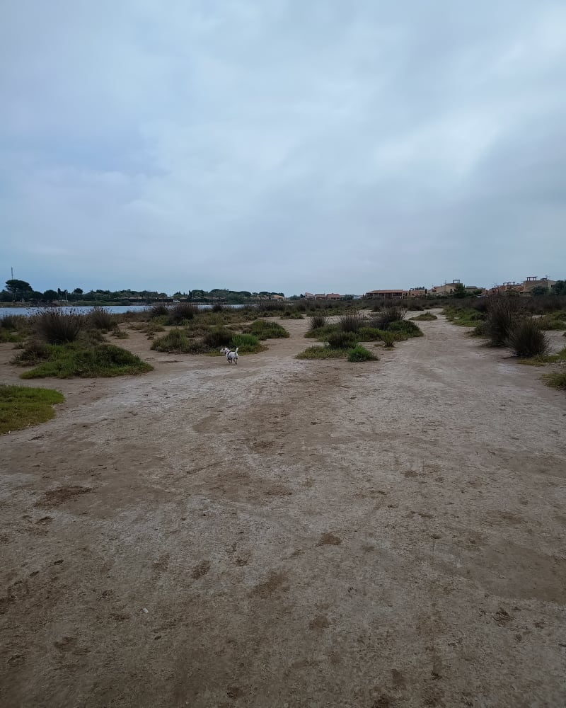 Tour de l'étang de Mateille - Gruissan